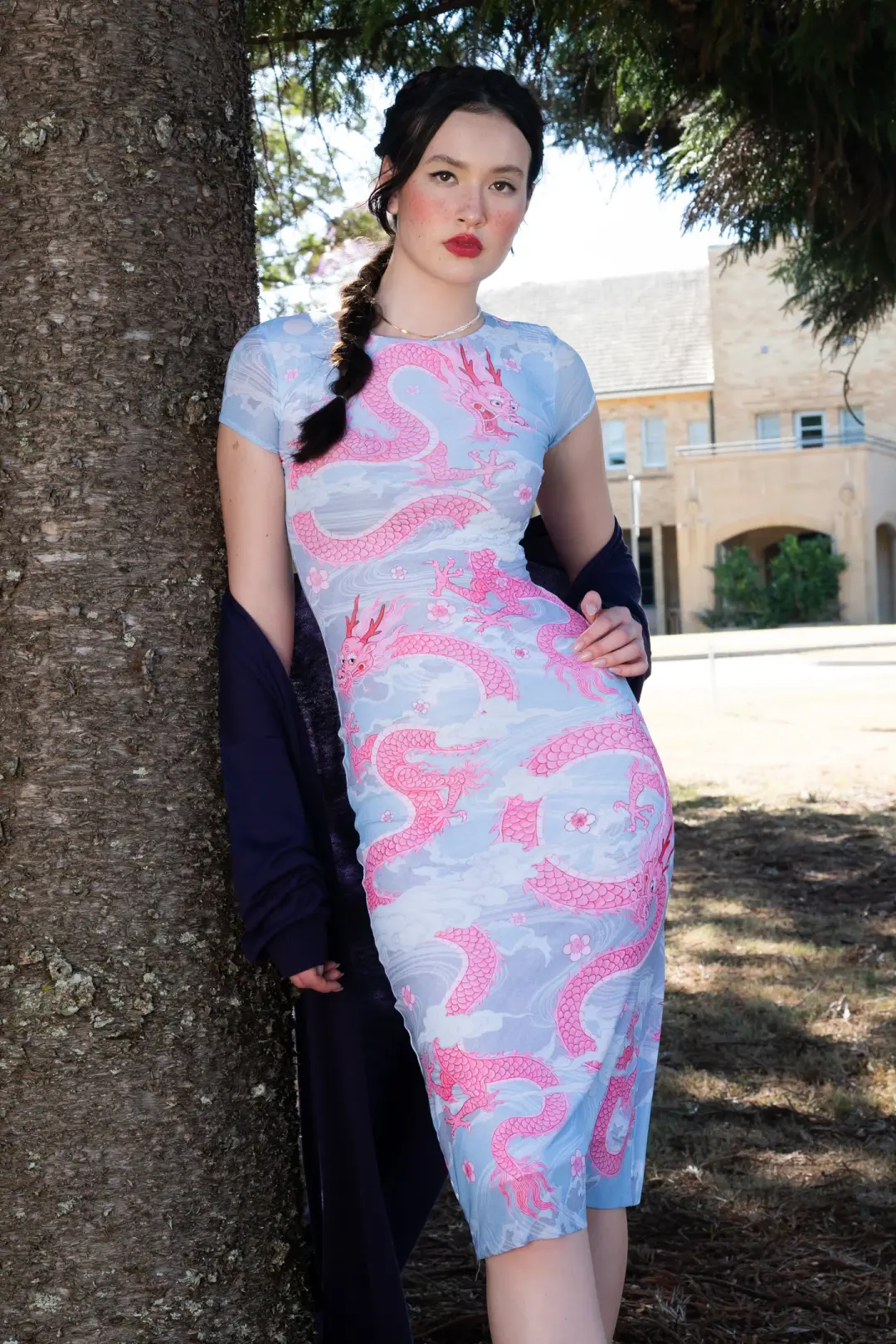 Blushing Dragon Sheer Cap Sleeve Bodycon Dress