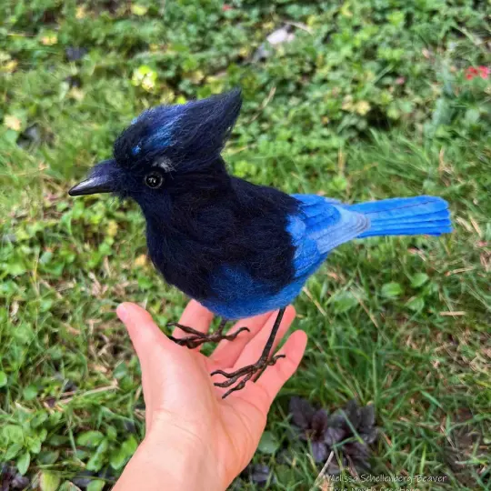 Steller's Jay - Felted Bird Sculpture PRE-ORDER