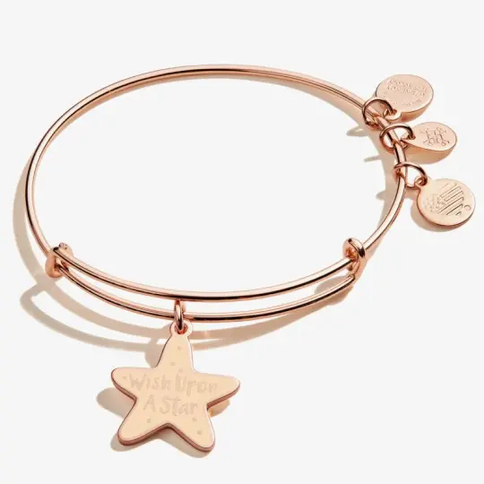 Wish Upon a Star Charm Bangle Shiny Rose Gold