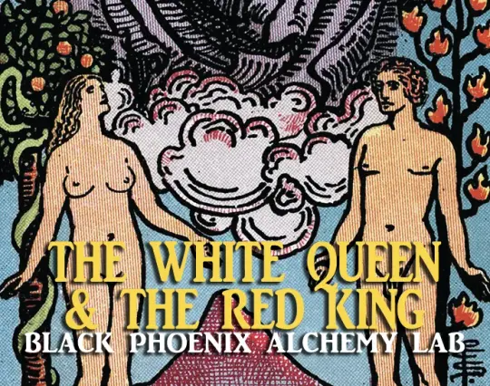 The White Queen and The Red King Perfume Oil