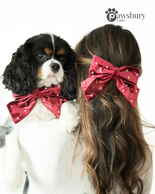 It's Snowing Cats and Dogs - Ruby - Human Bow Barrette