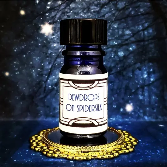 *Dewdrops on Spidersilk