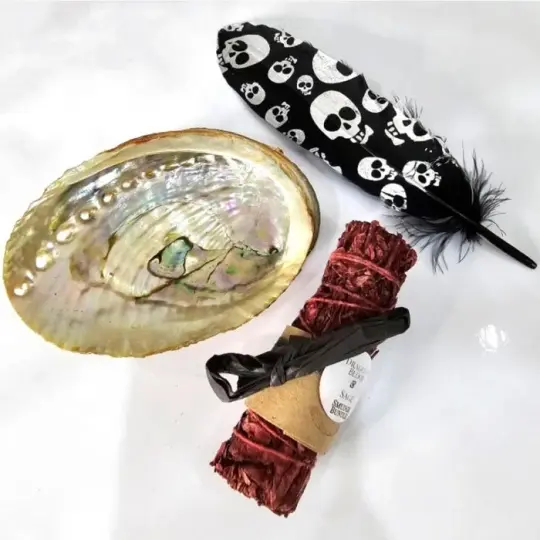 Dragon’s Blood Sage Smudging Set with Black Skull Feather & Abalone Shell