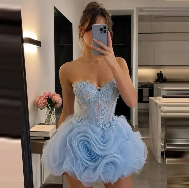 Charming Tulle Pleated Embroidered Women's Homecoming Dress Blue Corset Short Prom Dress Party Dress RS2859