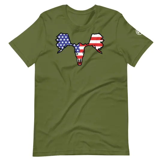 Patriotic Alaskull Tee