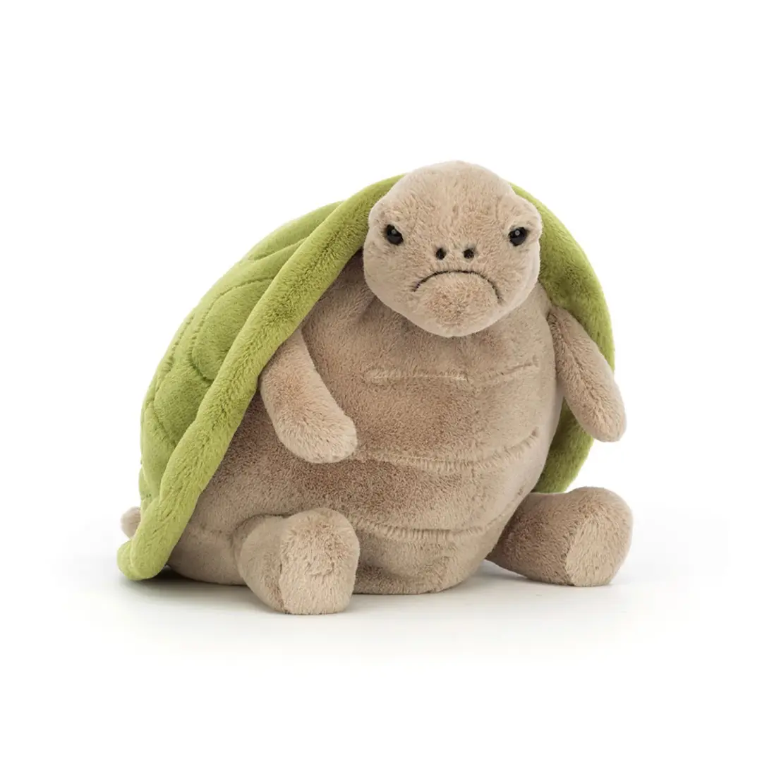 Timmy Turtle