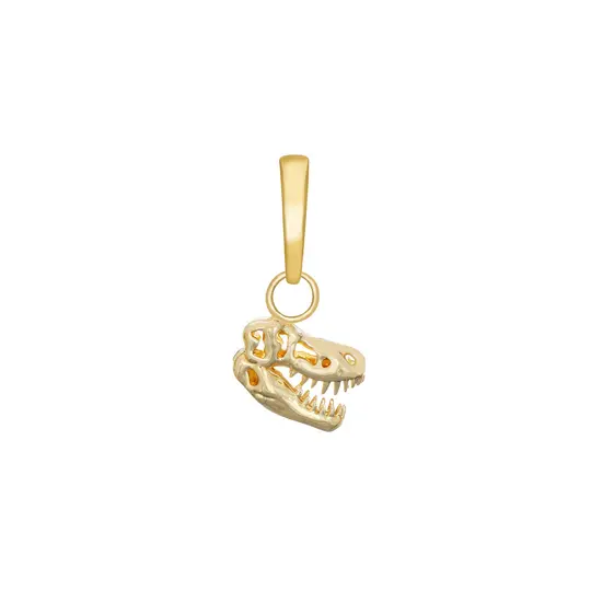 T-Rex Skull Charm
