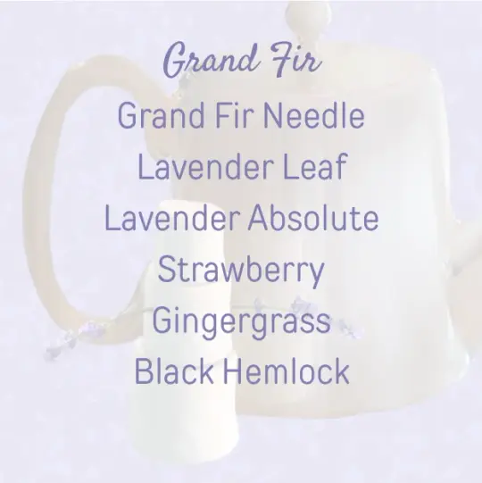 Grand Fir