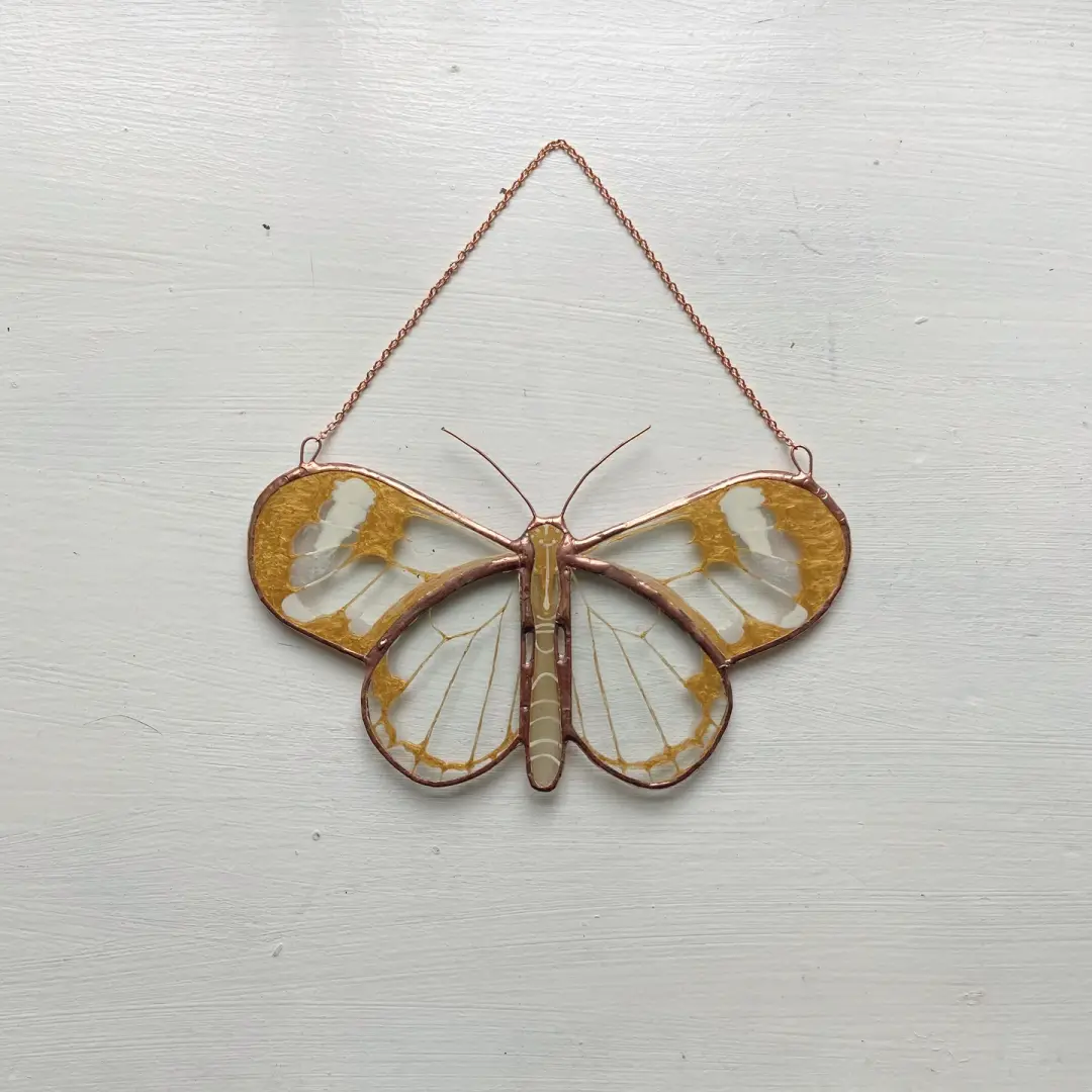Golden Fauna - Glasswing Butterfly