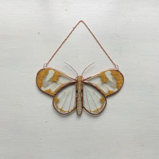 Golden Fauna - Glasswing Butterfly