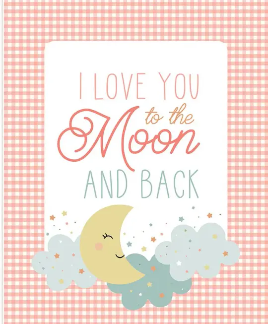 Love You To The Moon
