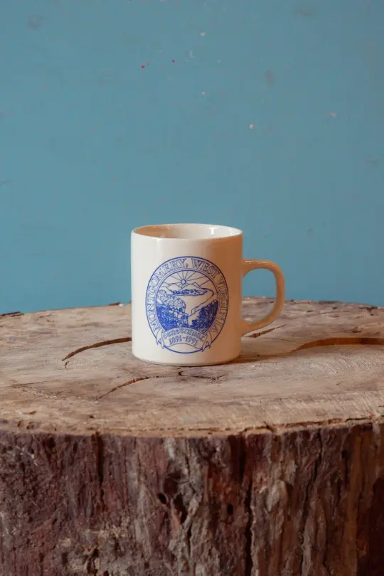 Vintage Montgomery WV Mug