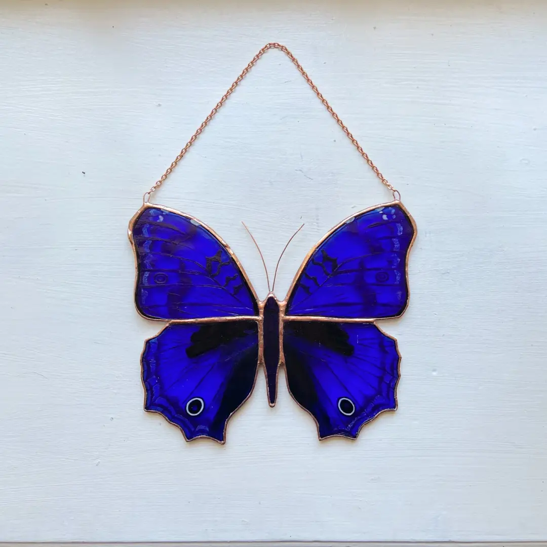 Royal Blue Butterfly