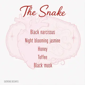 The Snake