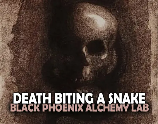 Death Biting a Snake Perfume Oil