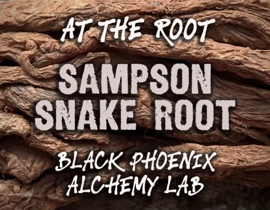 Sampson Snake Root Perfume Oil