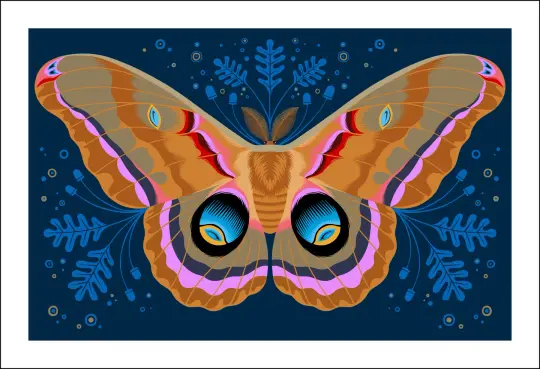 Polyphemus Moth Print