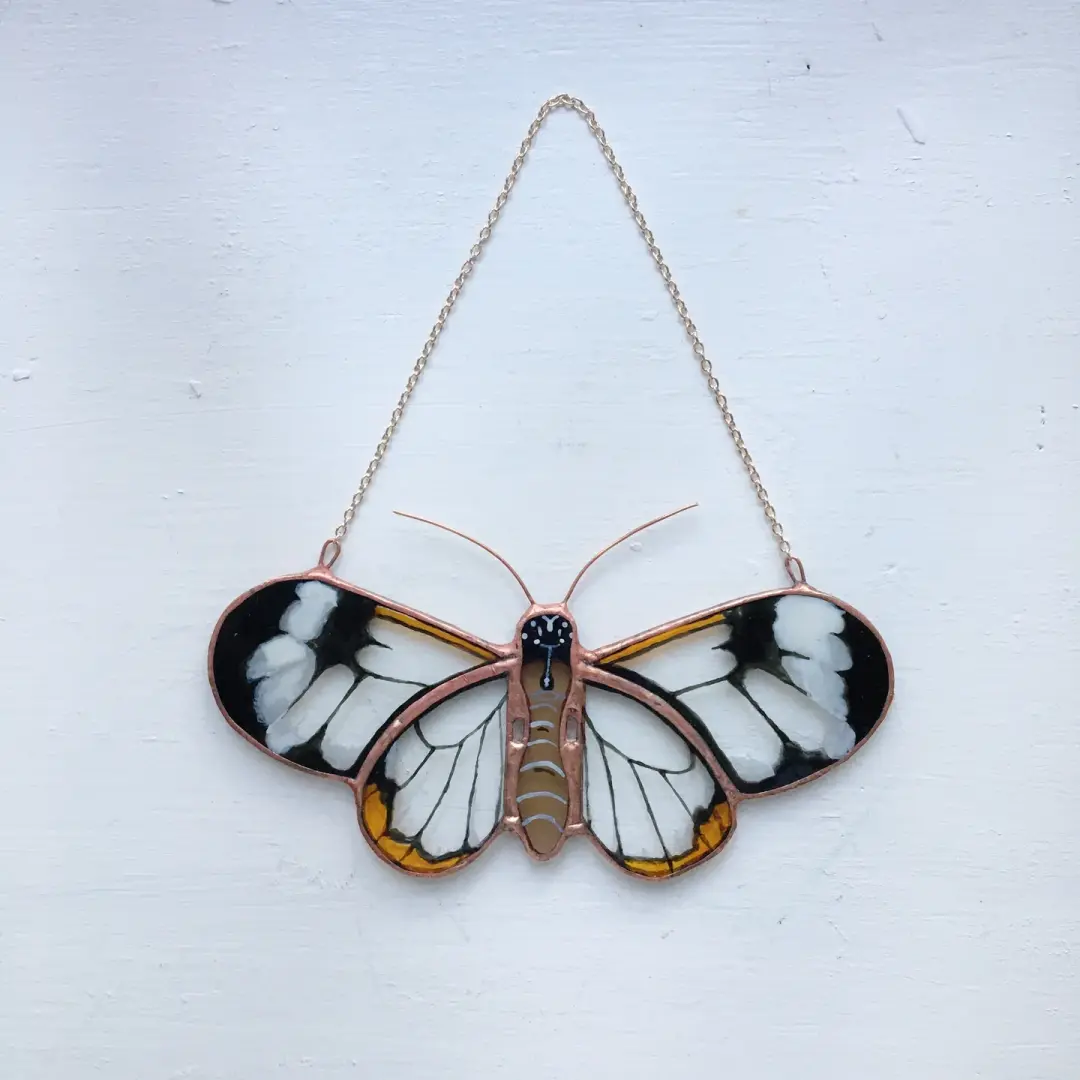 Ghostwing Butterfly