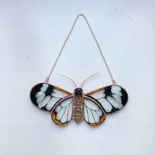 Ghostwing Butterfly