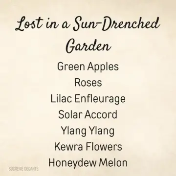 Lost in a Sun-Drenched Garden
