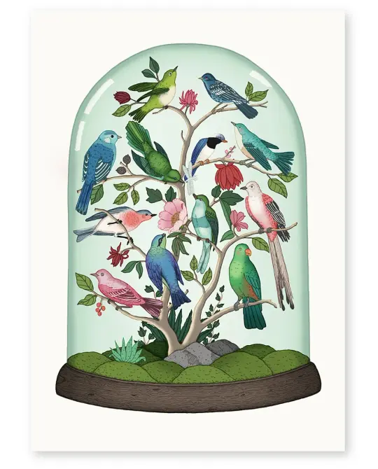 'Aviary' Limited Edition Art Print