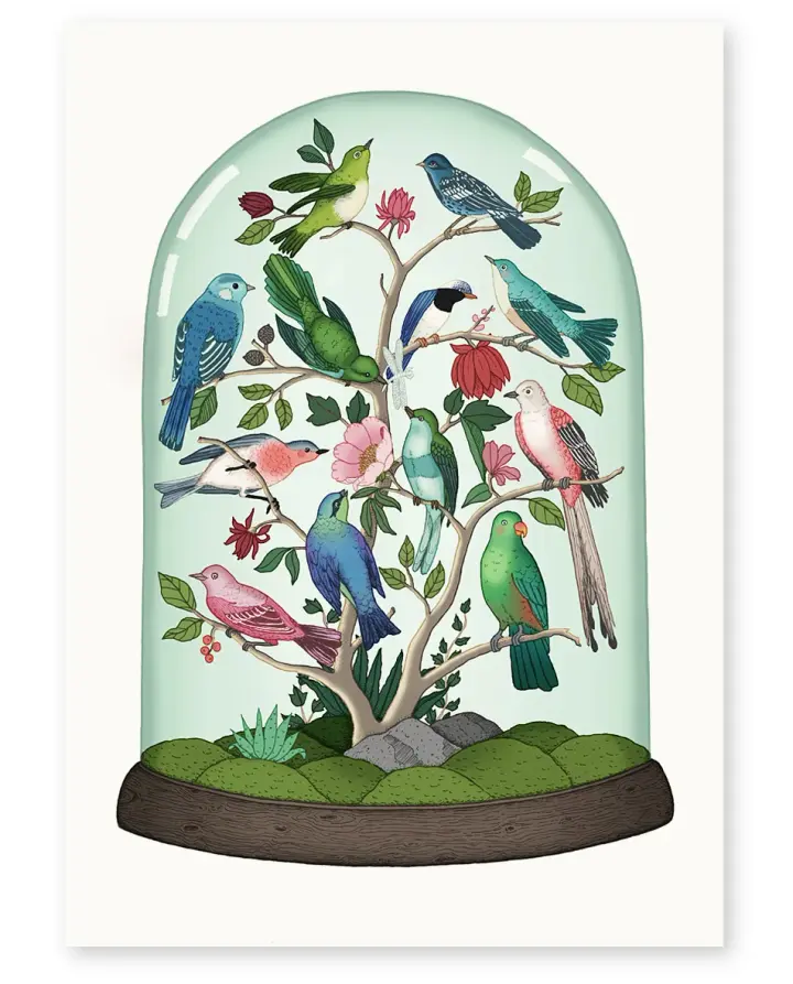 'Aviary' Limited Edition Art Print