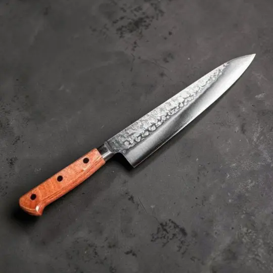 Takamura Chromax Tsuchime Gyuto 210mm