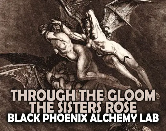 Through The Gloom The Sisters Rose Perfume Oil