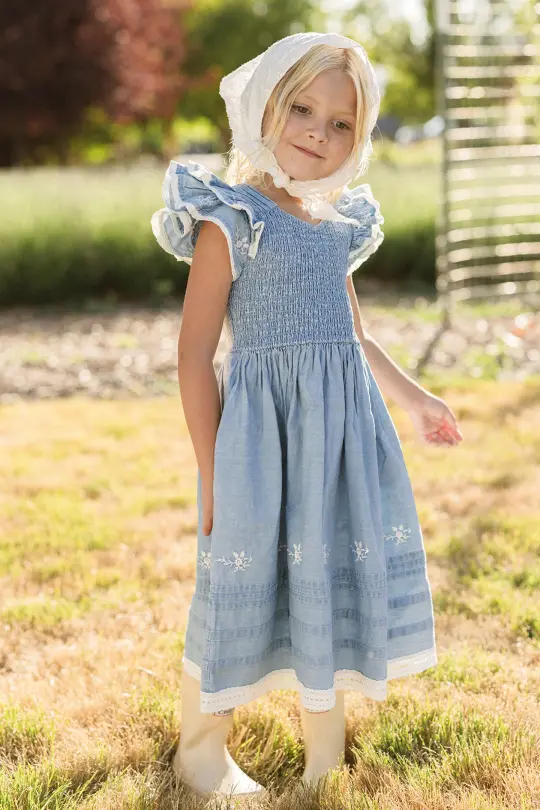 Mini Hattie Dress in Embroidered Chambray