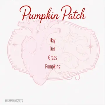 Pumpkin Patch