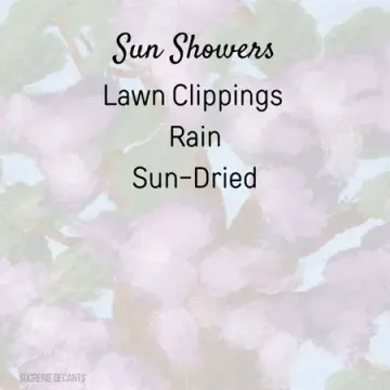 Sun Showers