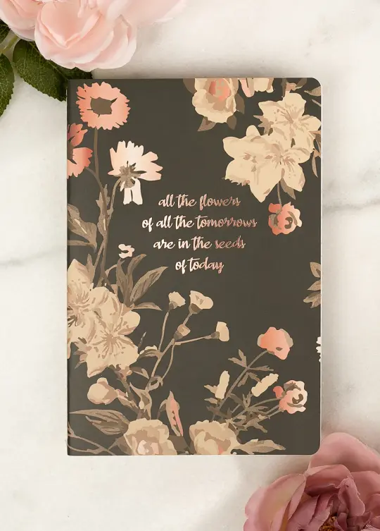 Seeds of Today Journal