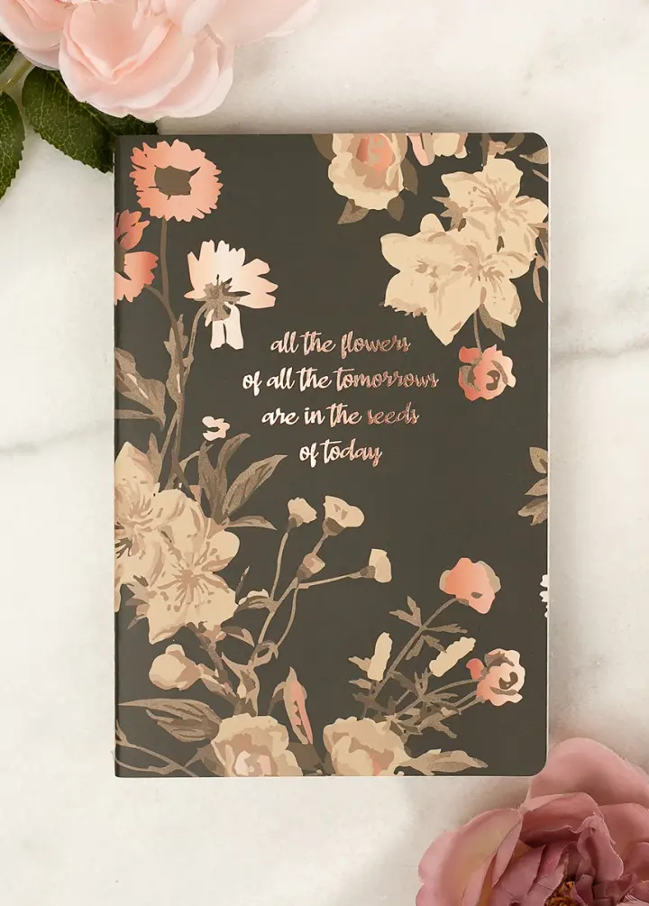 Seeds of Today Journal