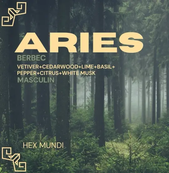Aries Parfum - Masculin