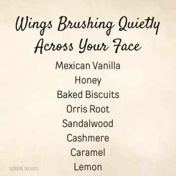 Wings Brushing Quietly Across Your Face