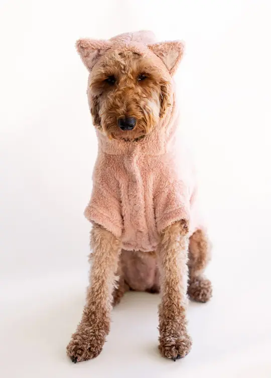 Meowza Pet Hoodie in Blush
