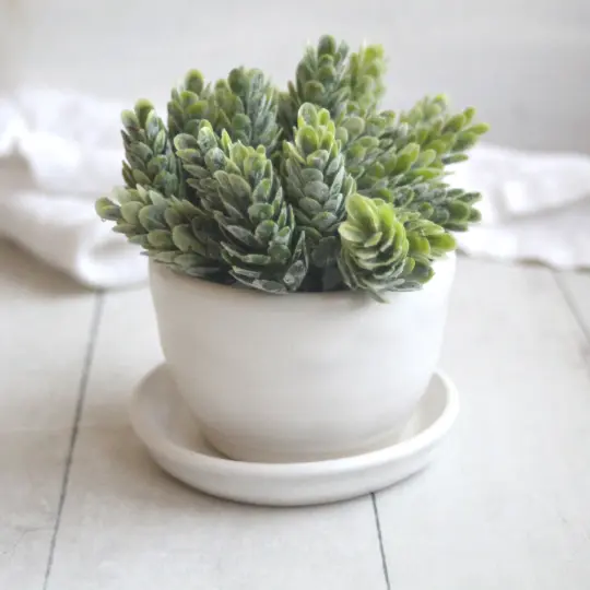 Matte White Succulent Pot, Handcrafted Planter with Drip Dish, Ceramic Pottery Made in USA