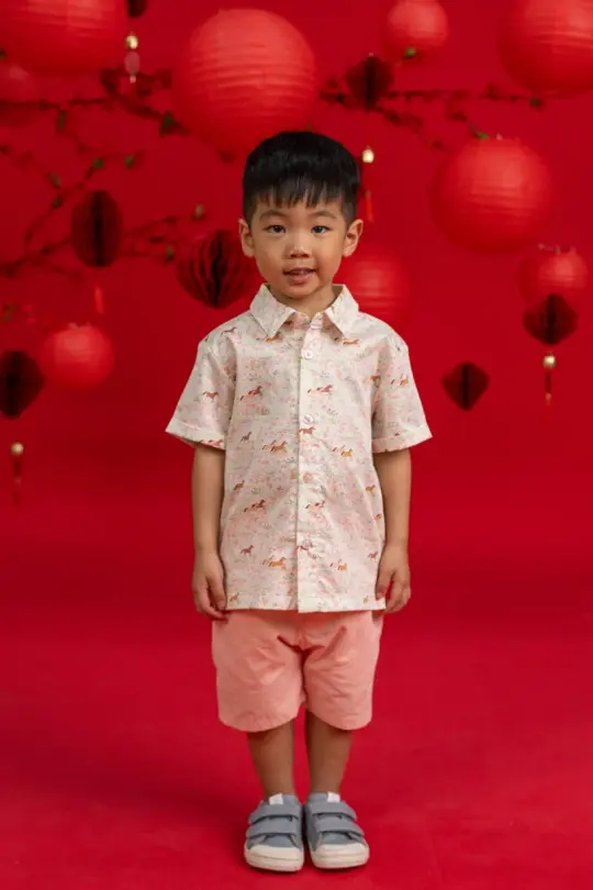 Little Man Shirt - Meadow Horses