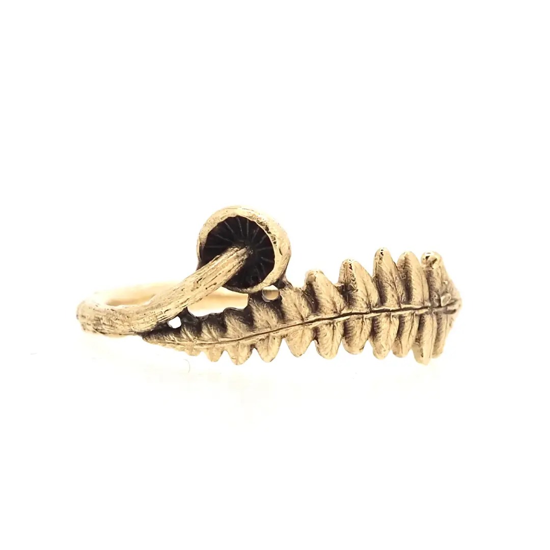 Mushroom and fern ring