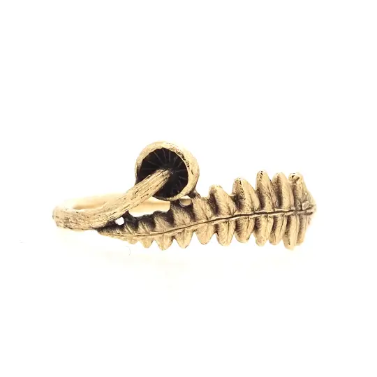 Mushroom and fern ring