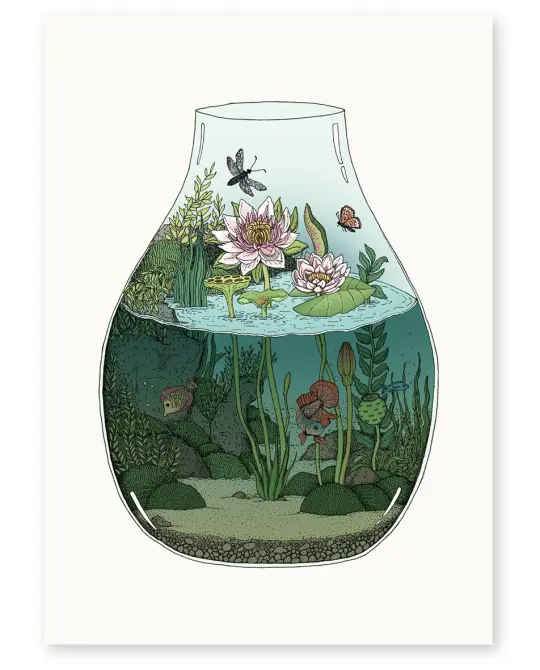 'Waterlilies' Limited Edition Art Print