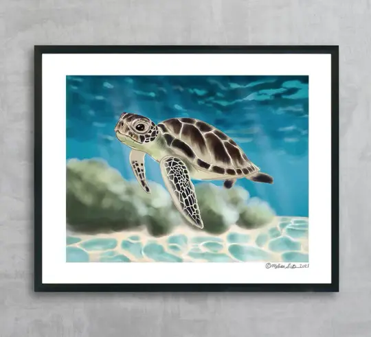 Sea Turtle Fine Art Print