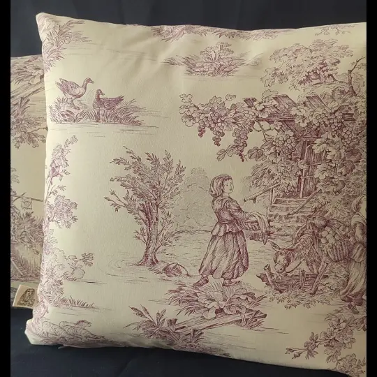 French pastorale pillows duo