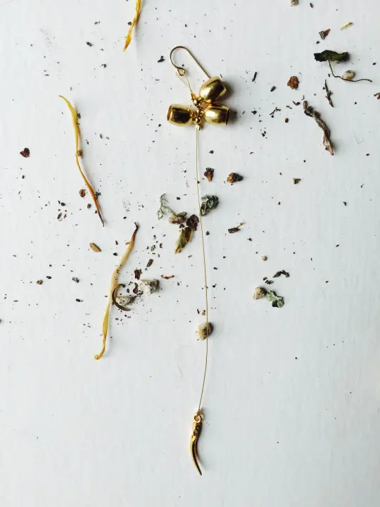 Single seed capsule Earring