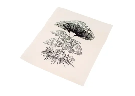 Toadstool Mushrooms Patch