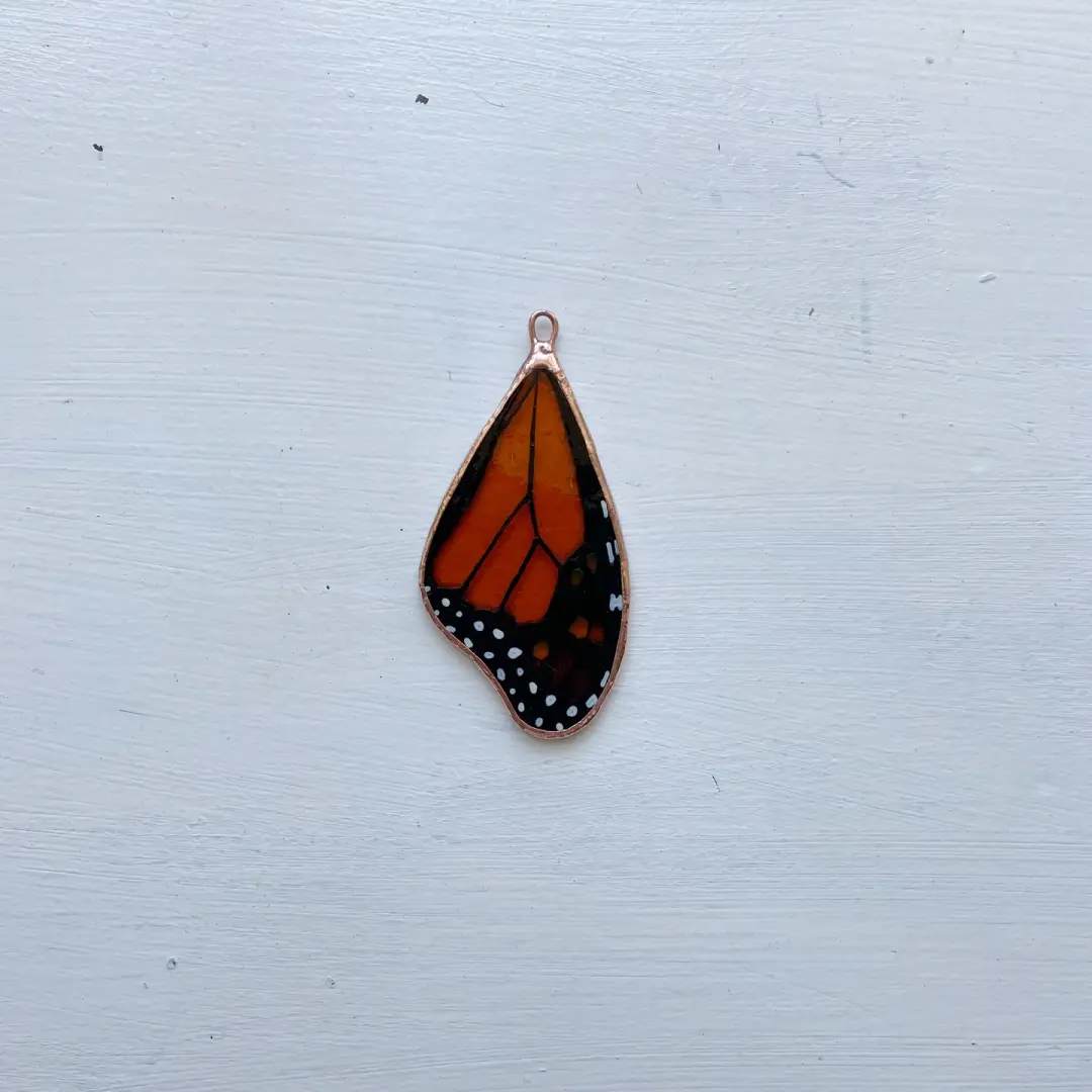Monarch Butterfly Wing no.11