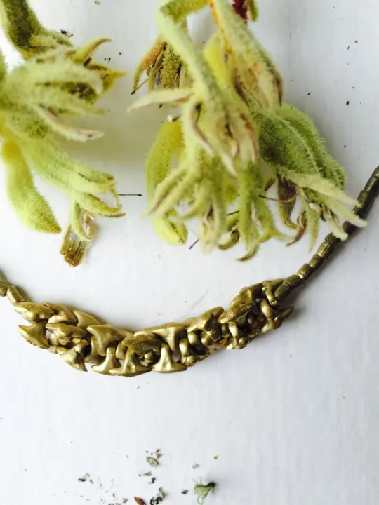 Sloughgrass Necklace