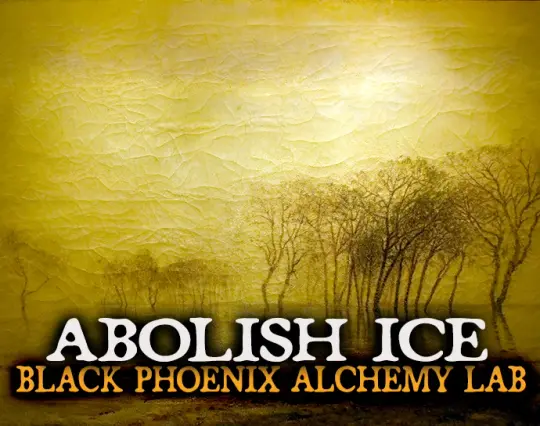 Abolish ICE Perfume Oil