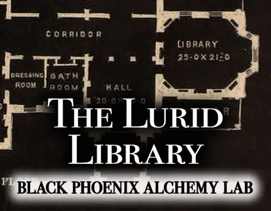 The Lurid Library 2026 Perfume Oil