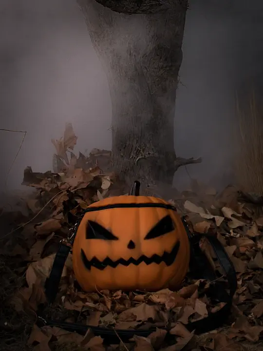 FINAL SALE - Sleepy Hollow™ Pumpkin Bag